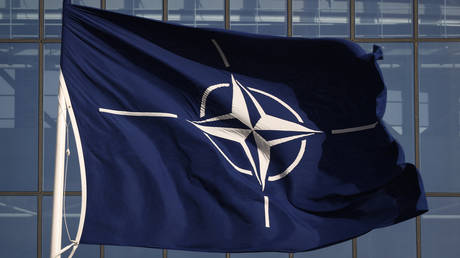 Finns & Swedes won’t benefit from NATO membership – Nobel Peace Prize nominee