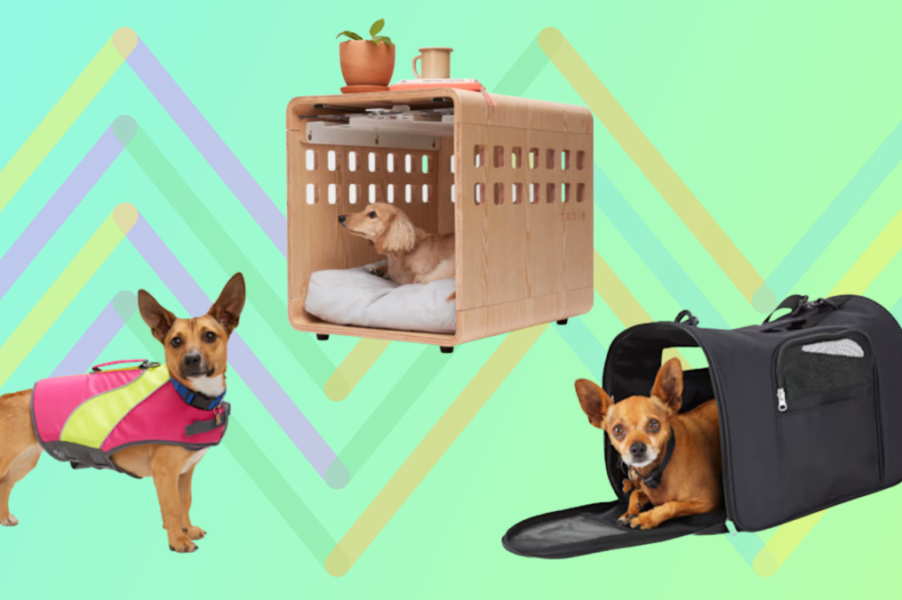 Spoil your pup with National Puppy Day deals
