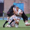 Glasgow Warriors 73-33 Dragons RFC: Welsh side annihilated by rampant Scots in Challenge Cup rout
