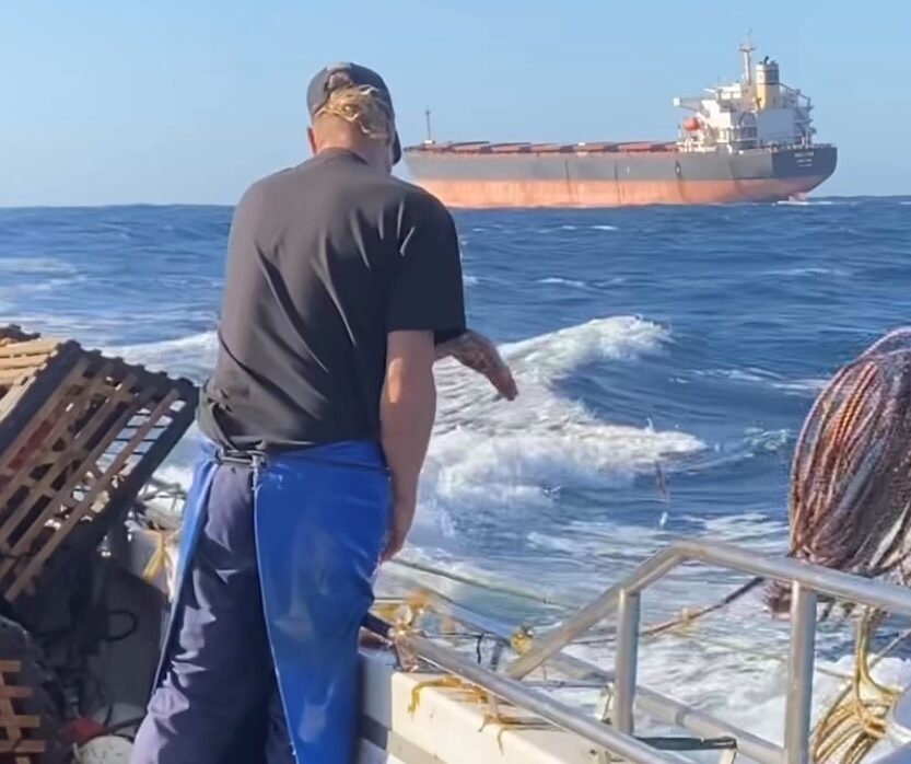 Lobster fishers call for cargo ships to be restricted to deeper waters off WA